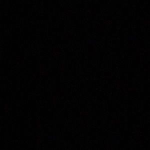 Meet your Posher, Grayson